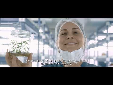 Ciencia e Innovación al